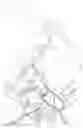 Fig. 28 - FOOD COOKING DEVICE