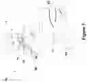 Fig. 09 - ELECTRIC SHAVER WITH IMAGING CAPABILITY
