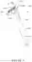 Fig. 11 - SHAVING APPARATUS AND SHAVING APPARATUS HEAD