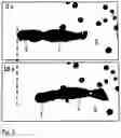 Fig. 03 - Propeller and method in which a propeller is set into motion