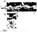 Fig. 06 - Propeller and method in which a propeller is set into motion