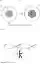 Fig. 08 - Propeller and method in which a propeller is set into motion