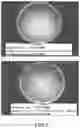 Fig. 07 - ANTIBACTERIAL RESIN AND MANUFACTURING METHOD THEREFOR