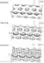 Fig. 22 - Resin product, method of making resin product, interchangeable lens, and optical device