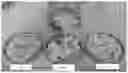 Fig. 01 - Thermoplastic pavement marking flake, method of manufacturing thermoplastic pavement marking flake and its application