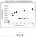Fig. 04 - PRINTING PROCESS AND SYSTEM