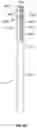 Fig. 40 - Packaging materials and methods