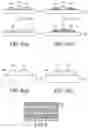 Fig. 06 - Printing method and printing apparatus