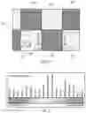 Fig. 02 - APPLYING FIXING LIQUID TO PRINT MEDIA