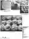 Fig. 12 - COOKBOOK FOR PEOPLE WITH READING DISORDERS