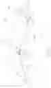 Fig. 28 - Kit for a Wheel and Blank for Forming a Portion of a Rim of the Wheel
