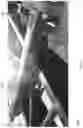 Fig. 05 - Adapter and bolsters for transporting a container