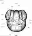 Fig. 10 - Airbag