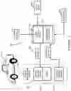 Fig. 03 - Automated pedal sensor profile for speed control