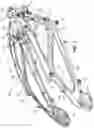 Fig. 02 - Motorcycle frame