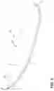 Fig. 07 - Wave riding boards