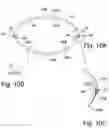 Fig. 10 - Survival systems
