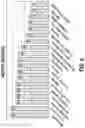 Fig. 07 - Protective Label