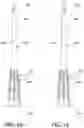 Fig. 13 - NEEDLE, NEEDLE ASSEMBLY INCLUDING SAME, AND ASSOCIATED MANUFACTURING AND USE METHODS THEREFOR