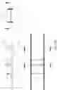 Fig. 46 - Storage and retrieval system