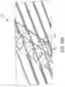 Fig. 48 - Storage and retrieval system