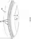 Fig. 24 - Systems and methods of manufacturing flexible spring members for gas spring assemblies