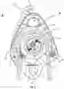 Fig. 06 - Pulley descender