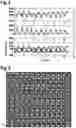 Fig. 04 - Molecular machine