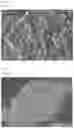 Fig. 02 - Anhydrous dibasic calcium phosphate, and method for producing same