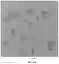 Fig. 05 - Environmentally benign production of graphene oxide