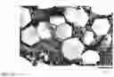 Fig. 04 - AFX-structure zeolite crystal, and synthesis method thereof