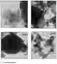Fig. 03 - Sulfidated nanoscale zerovalent iron and method of use thereof