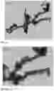 Fig. 04 - Sulfidated nanoscale zerovalent iron and method of use thereof