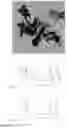 Fig. 09 - Sulfidated nanoscale zerovalent iron and method of use thereof