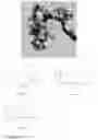 Fig. 10 - Sulfidated nanoscale zerovalent iron and method of use thereof
