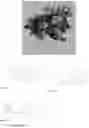 Fig. 12 - Sulfidated nanoscale zerovalent iron and method of use thereof