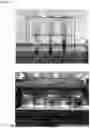 Fig. 07 - DRIED MICROBIAL SLUDGE GRANULE AS ADDITIVE FOR WASTEWATER TREATMENT