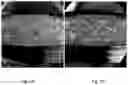 Fig. 02 - COMPRESSED SALT OBJECTS