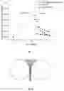 Fig. 08 - COMPRESSED SALT OBJECTS
