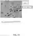 Fig. 11 - Method for producing silicon-carbide-based composite