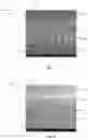 Fig. 02 - Low temperature method for hermetically joining non-diffusing ceramic materials in multi-layer plate devices