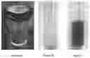 Fig. 02 - Gold-Catalyzed C-C Cross-Coupling of Boron- and Silicon-Containing Aryl Compounds and Aryldiazonium Compounds by Visible-Light