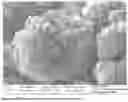 Fig. 03 - Method for manufacturing calcium diglyceroxide