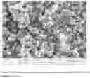Fig. 06 - Method for manufacturing calcium diglyceroxide