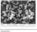 Fig. 08 - Method for manufacturing calcium diglyceroxide