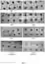 Fig. 07 - Compositions and methods comprising a triaryl polyamine