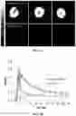 Fig. 05 - Voltage gated sodium channel imaging agents