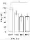 Fig. 12 - Voltage gated sodium channel imaging agents