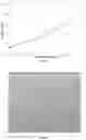 Fig. 31 - OZANIMOD ADDITION SALT CRYSTAL, PREPARATION METHOD, PHARMACEUTICAL COMPOSITION, AND USES