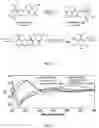 Fig. 02 - SHIKIMATE ANALOGUES AND METHODS OF USE